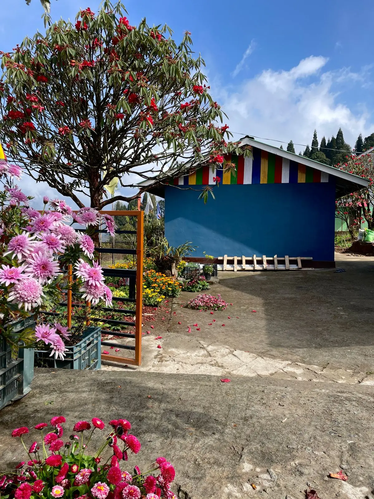 Lali Gurash Homestay tiny home in Okhrey Sikkim