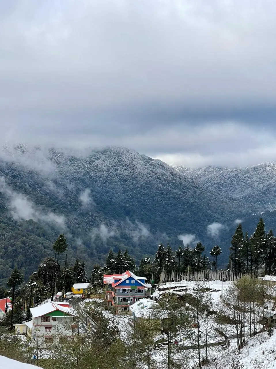Lali Gurash Homestay mountain view Okhrey Sikkim